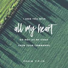 Psalm 119:10 Scripture Memory Verse (10.26.18)