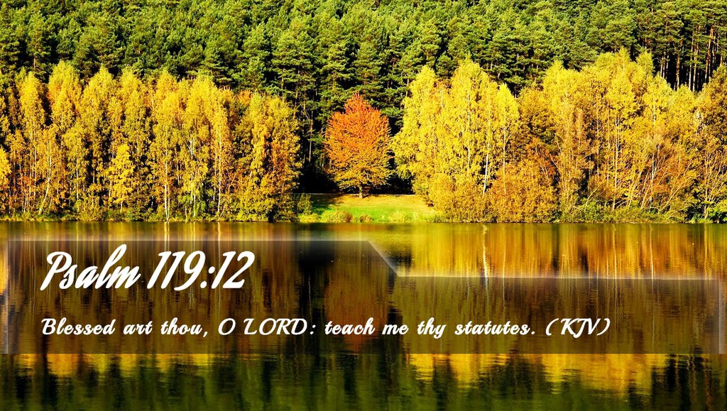Psalm 119 9 12 TaneeHilarie