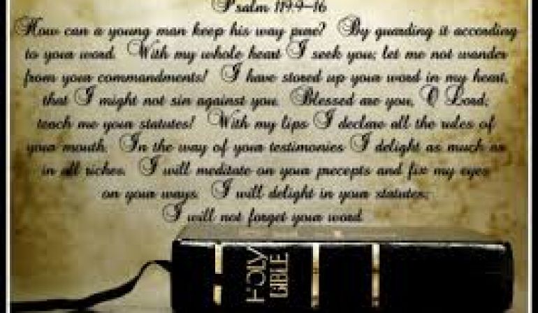 Scripture Memory Verse Psalms 119  9-16