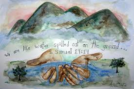 2 Samuel Chapter 14 1-33 Friday Night Bible Study (6.28.19)