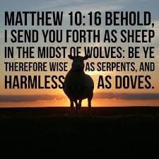 Matthew 10:16 Scripture Memory Verse (1-29-21)