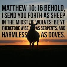 Matthew 10:16 Scripture Memory Verse (1-29-21)