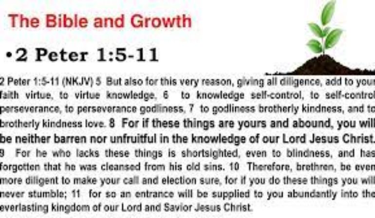 2 Peter 1 5-11 Sunday Teaching (8-22-21) Pastor Greg Tyra