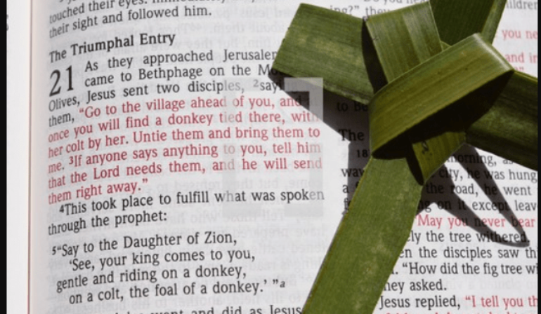 Matthew 21 1-11 Triumphal Entry (04-2-23) Pastor Greg Tyra