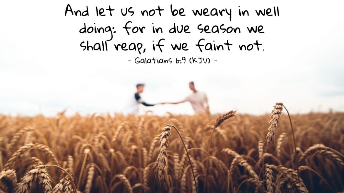 Galatians 6:9 Scripture Memory Verse (6/16/23) Pastor Greg Tyra