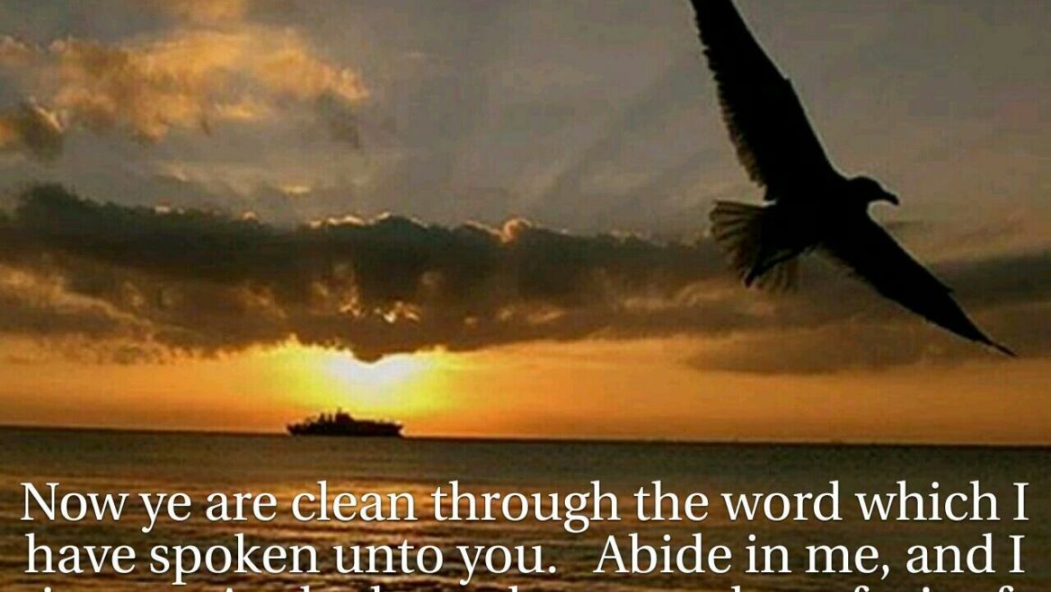 John 15: 3-4 Sunday Teaching (8-27-23) Pastor Greg Tyra